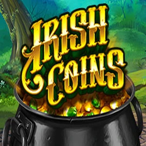 Irish Coins 94