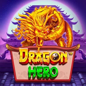 Dragon Hero