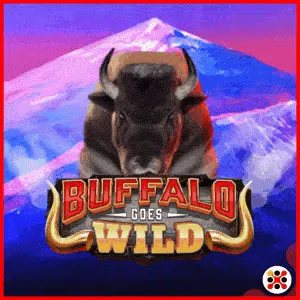 Buffalo Goes Wild