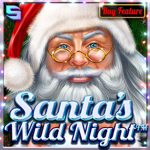 Santa's Wild Night